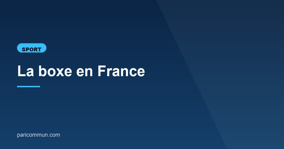 Illustration de l'article consacré à la boxe en France